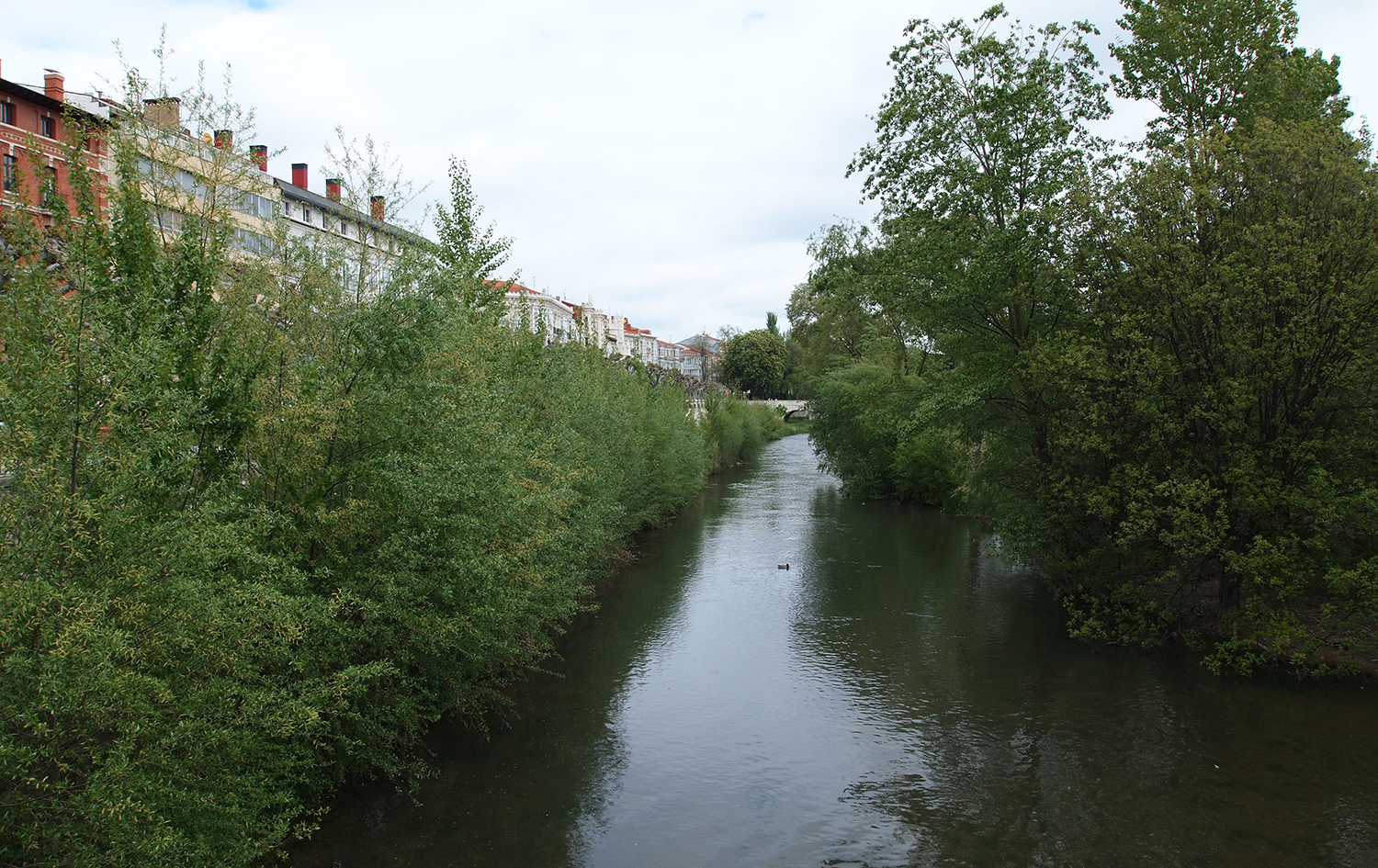 Río Arlanzón a su paso por Burgos Río Arlanzón a su paso por Burgos