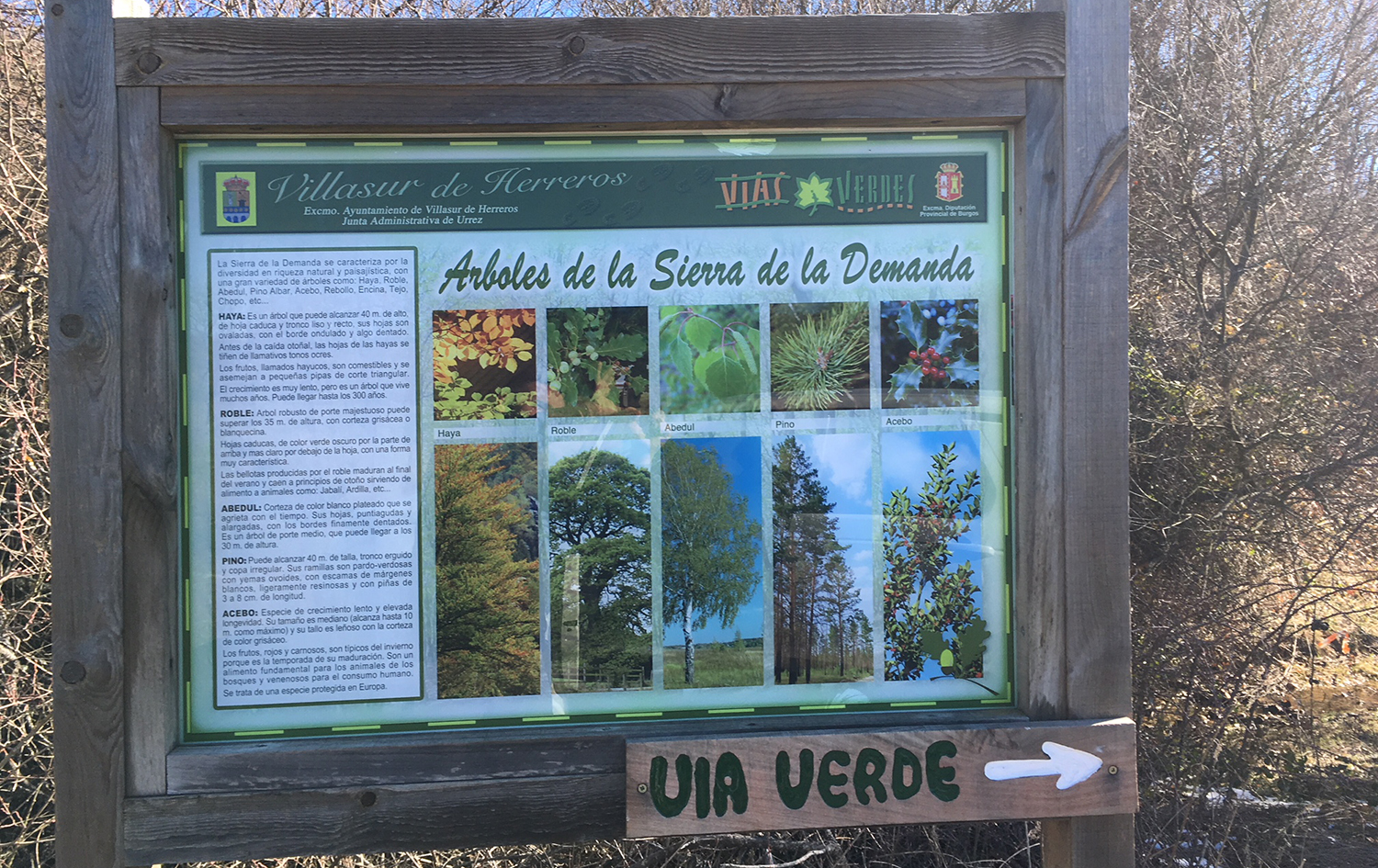 SierradelaDEmanda_ViaVerde_Villapajar
